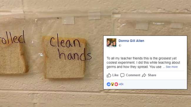 Öğretmenin Deneyi Sosyal Medyada Viral Oldu